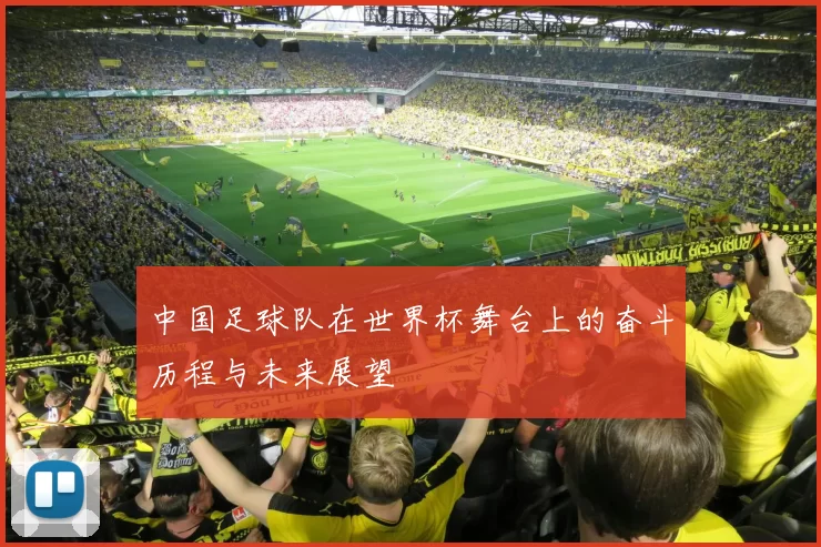 中国足球队在世界杯舞台上的奋斗历程与未来展望