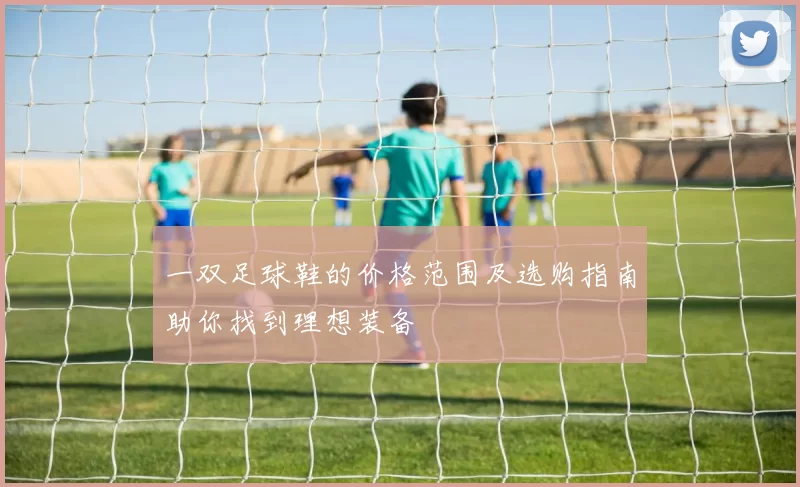 一双足球鞋的价格范围及选购指南助你找到理想装备