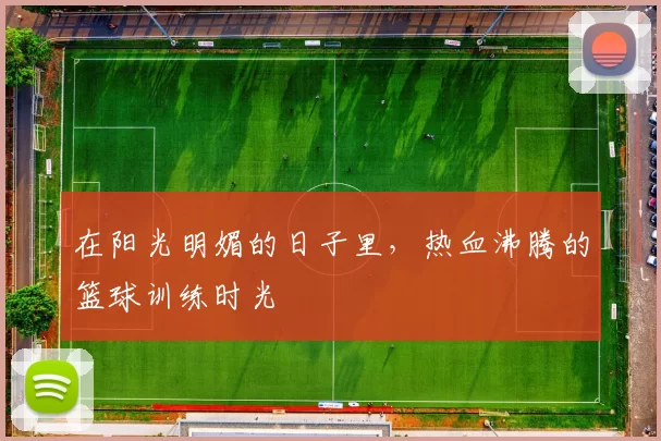 在阳光明媚的日子里，热血沸腾的篮球训练时光