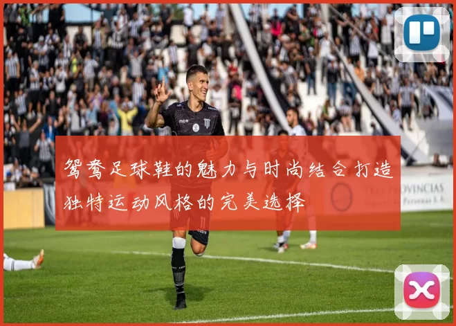 鸳鸯足球鞋的魅力与时尚结合打造独特运动风格的完美选择
