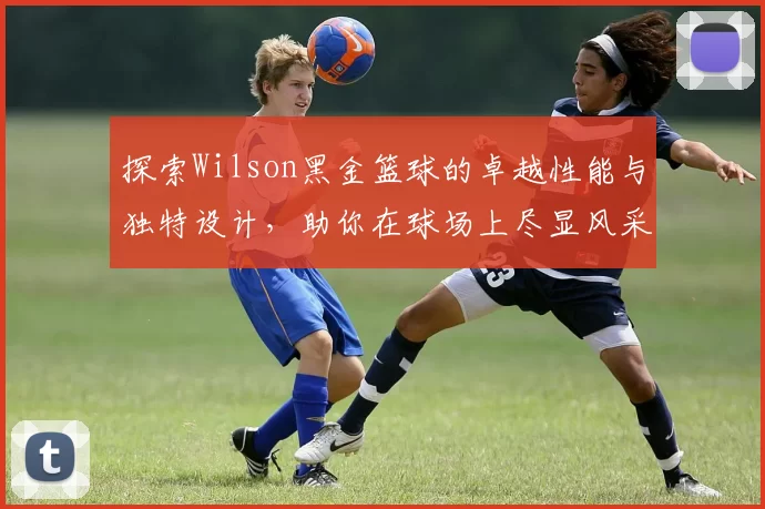 探索Wilson黑金篮球的卓越性能与独特设计，助你在球场上尽显风采与实力