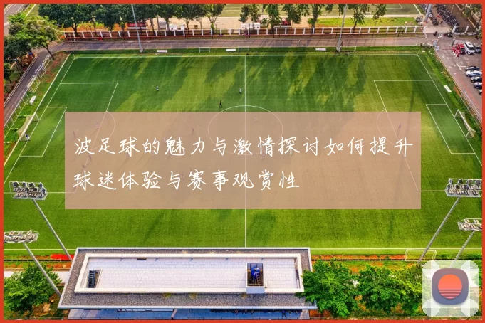 波足球的魅力与激情探讨如何提升球迷体验与赛事观赏性